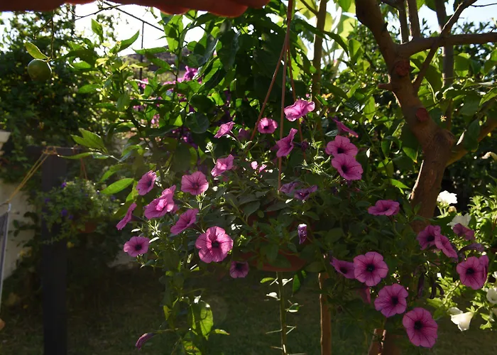 Otel Villa Konak Hotel 3*