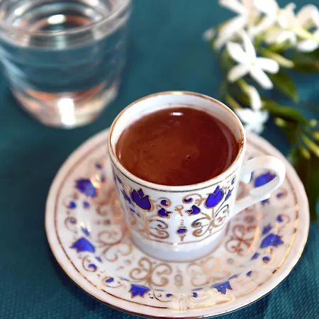 Villa Konak Hotel 3*