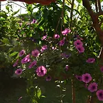 فندق كوناك 3*